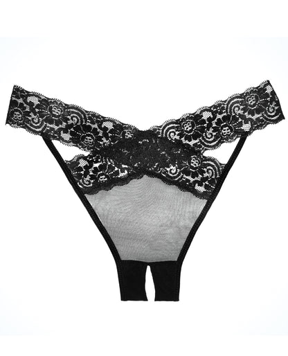 Allure Lingerie Adore Sheer and Lace Desire Panty, Black, One Size