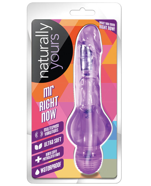 Blush Novelties BL-52801 Mr. Right Now Vibrating Massager, Purple