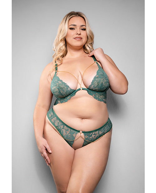 Fantasy Lingerie 2439XGRN Aerin Lace Bra & Panty Set, Green 3X/4X