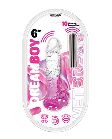 Hott Products HP-3769 Wet Dreams Dream Boy 6" Jelly Vibrator, Pink