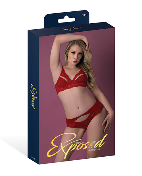 Rush Lace & Mesh Bra & Panty 2 pc Set - Red L/XL