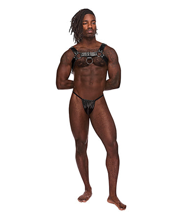Male Power 590-266 BLK O/S Aries Ring Harness, Black, One Size