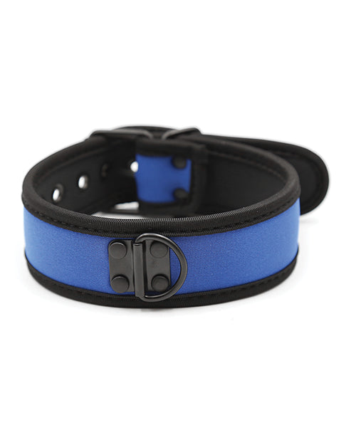 Plesur PC75865BL Neoprene Puppy Collar, Blue