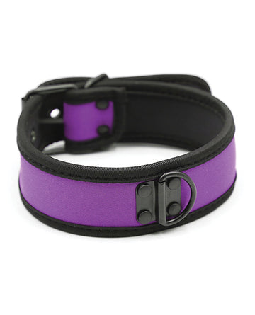 Plesur PC75865PP Neoprene Puppy Collar, Purple, D-Ring