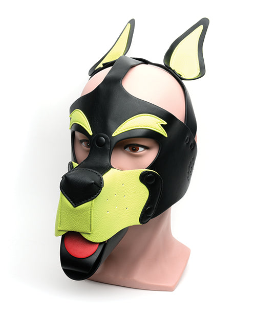 665 23239 Playful Pup Hood, One Size, Black/Yellow