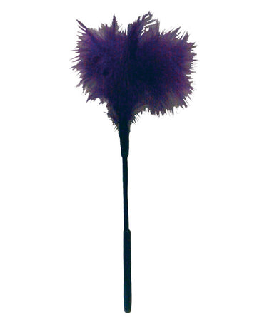 Sportsheets International SS10071 Feather Tickler, Purple, 13"