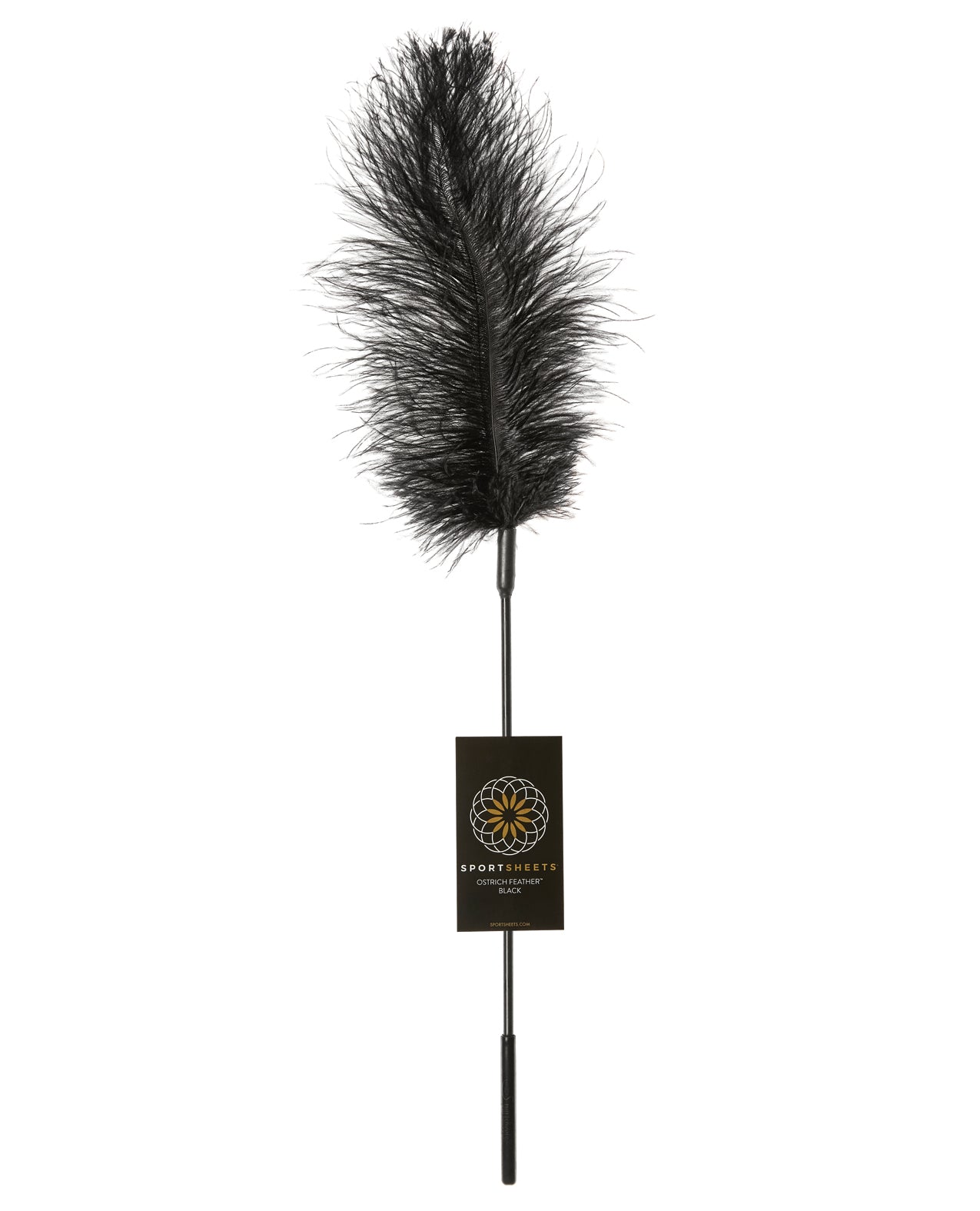Sportsheets International SS70001 Body Tickler Ostrich Feather, 16-inch Black