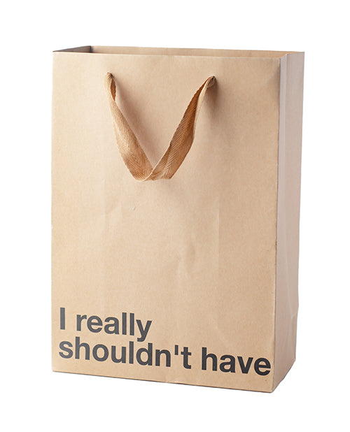Wood Rocket BAG3PK-012 I Really Shouldn't Have Gift Bag, Pack of 3